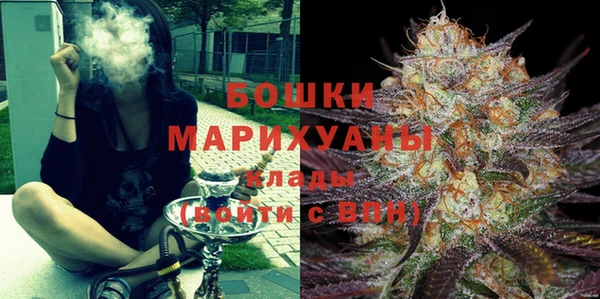 дмт Арсеньев