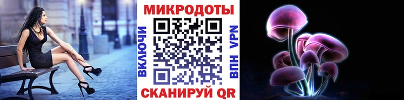 закладки  OMG зеркало  Псилоцибиновые грибы ЛСД  Новоульяновск 